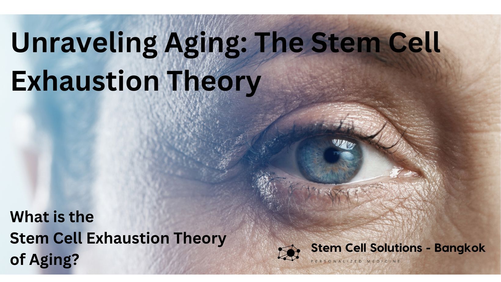 Unraveling Aging The Stem Cell Exhaustion Theory Stem Cell Solutions